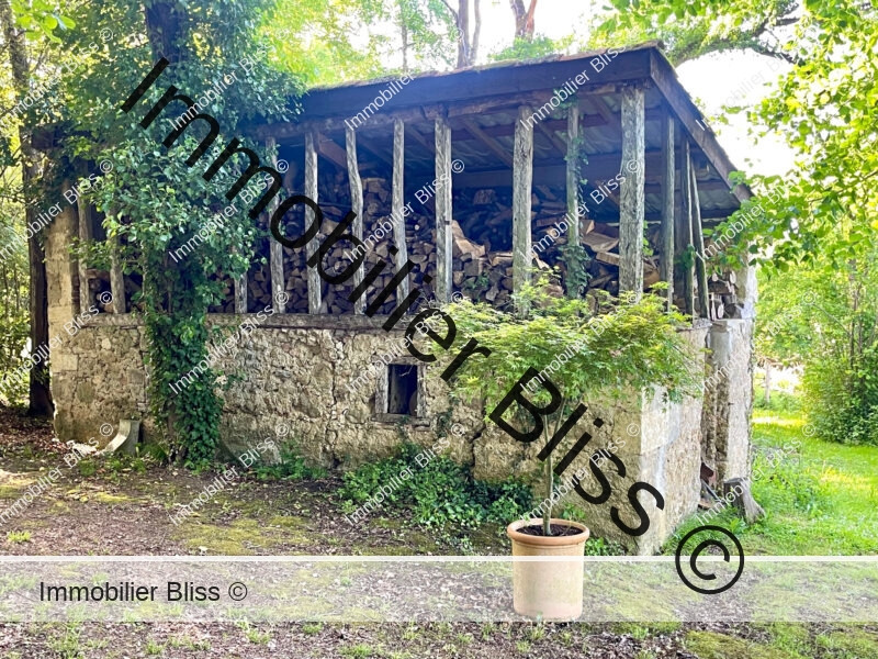 1470 - Bucher