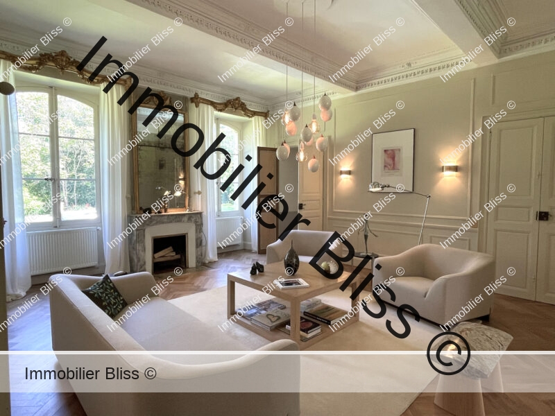1470 - Grand salon 1