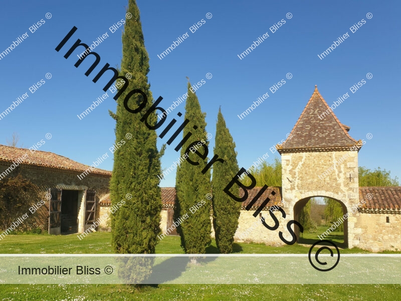 20250401_163229