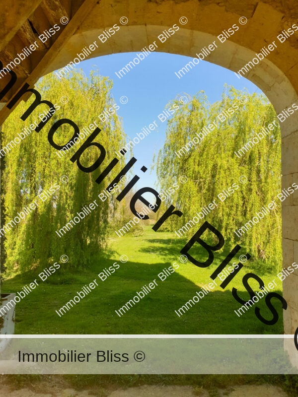 20250401_163311