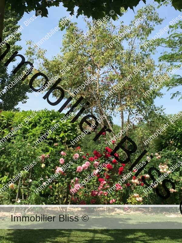 94C066F6-5E53-4F5B-8C3A-84A2817BC844