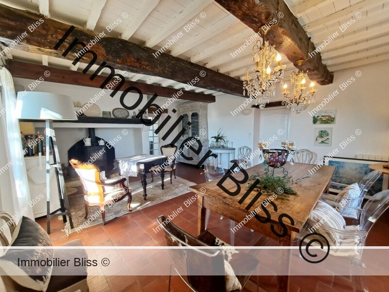 Belle Maison Gers Campagne Vue Pierre Piscine (104)