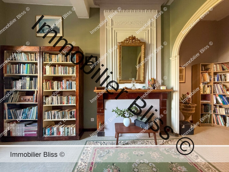 Bibliotheque (4)