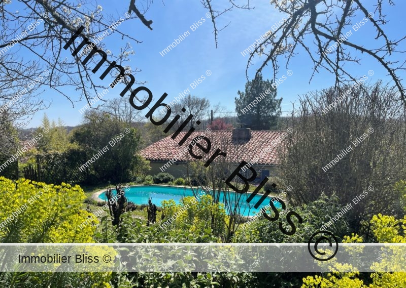 Bliss 600