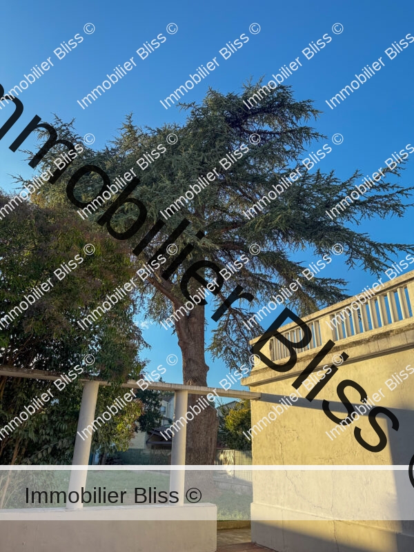 Cèdre du jardin et détails art déco