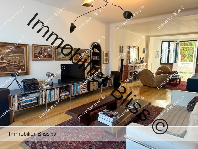 Grand salon TV + coin cheminée