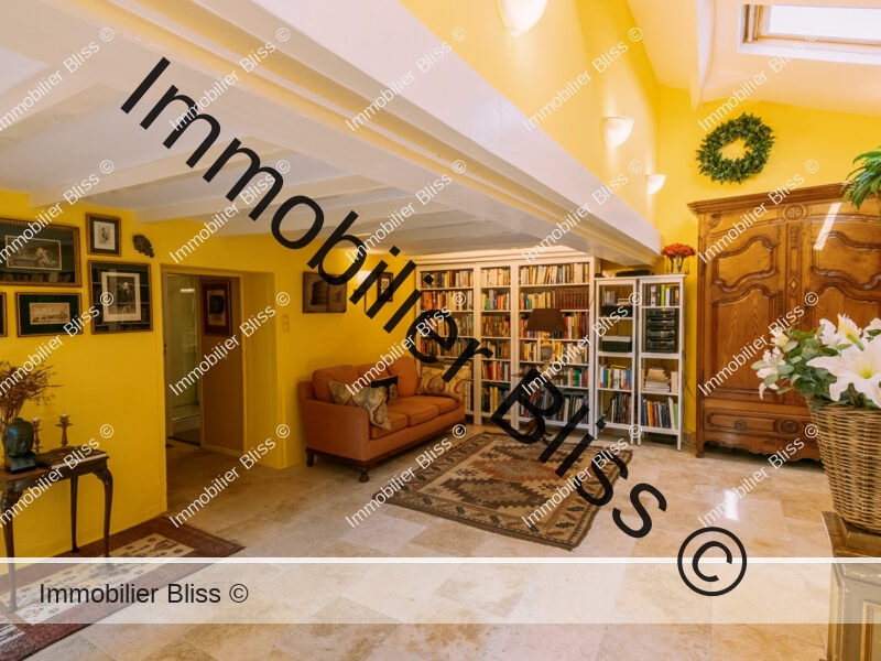 Living room library (1)