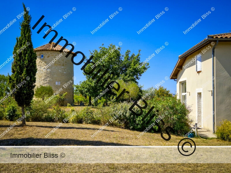 Miniature-2