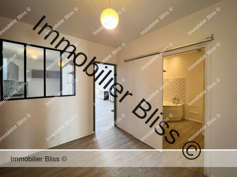 Pièce + salle de bain + Séjour