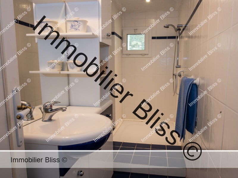 Salle d'eau - 1er