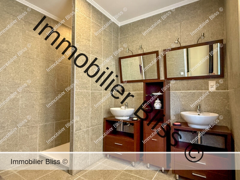 Salle d'eau rdc
