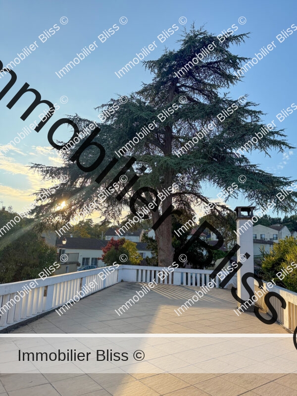 Terrasse Ouest à l'étage vue sur Cèdre