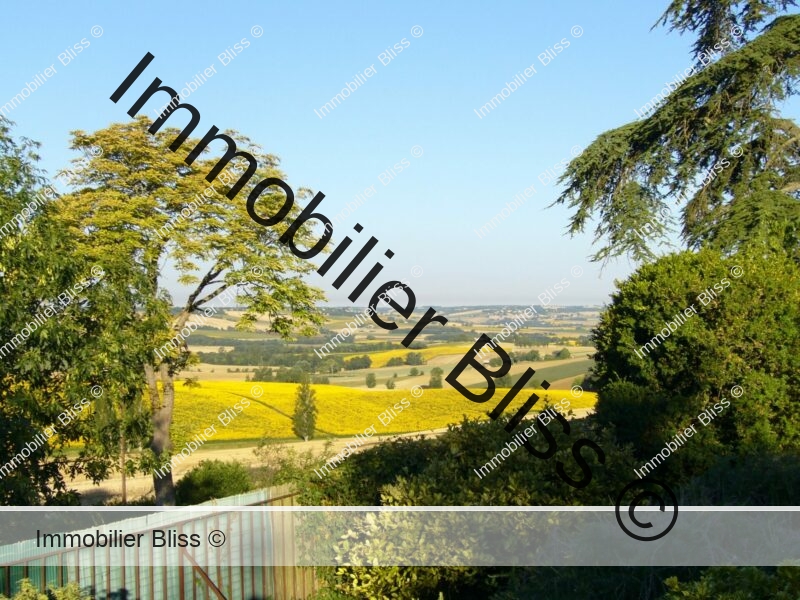 Vue campagne ensolleillée