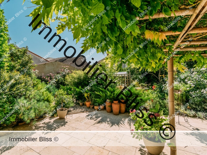 jardin (1)