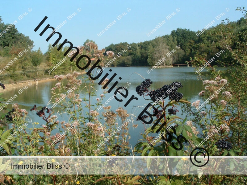 lac-peche-carpe