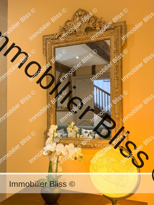 salon (10)