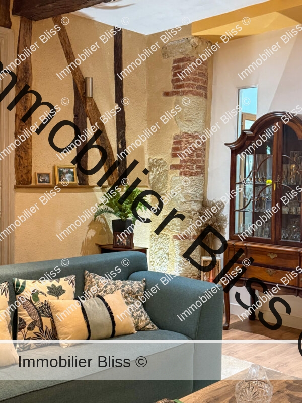 salon (11)