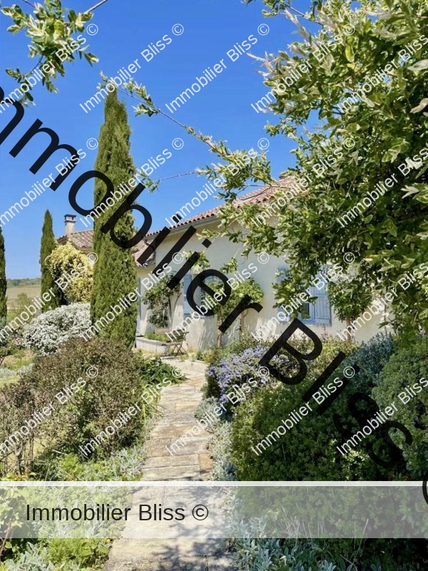 sans-titre-90-600x800.jpeg