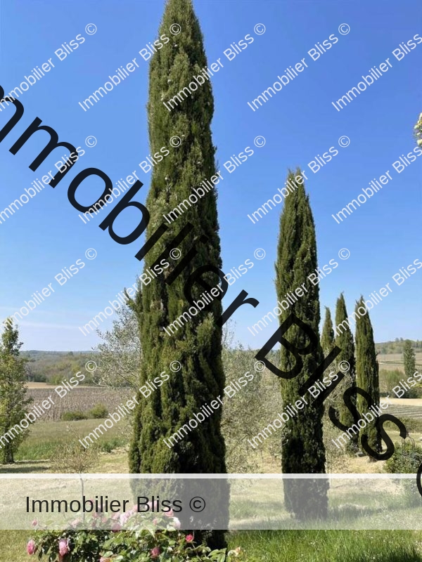sans-titre-95-600x800.jpeg